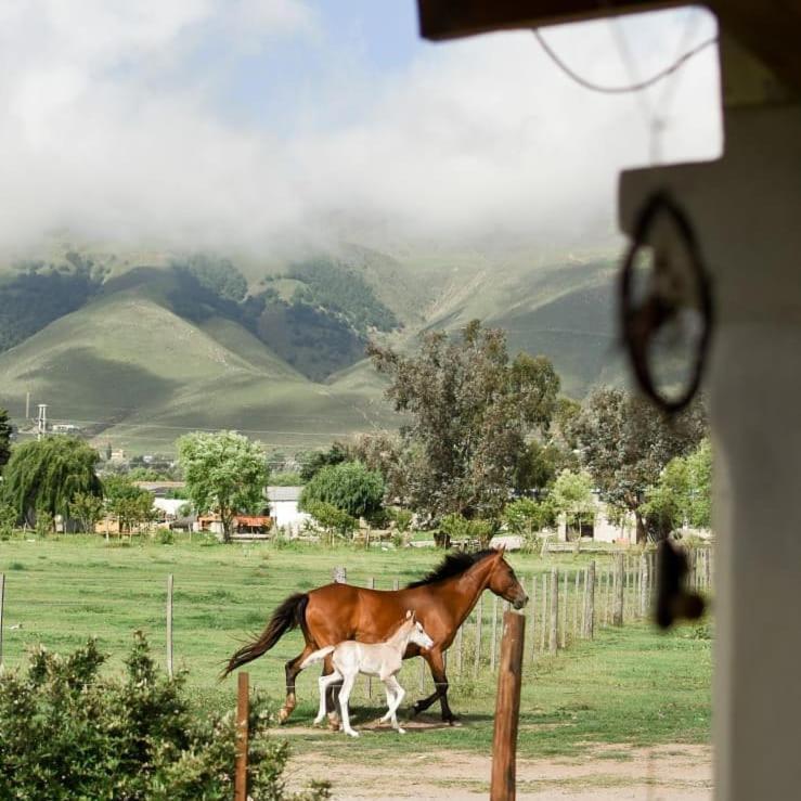 דירות Tafí del Valle Entre Montanas מראה חיצוני תמונה